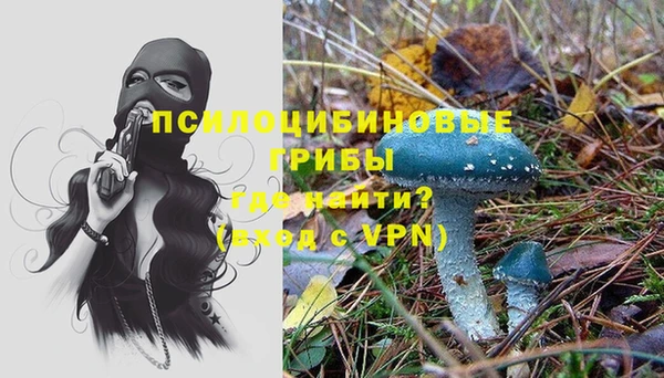 мяу мяу мука Беломорск
