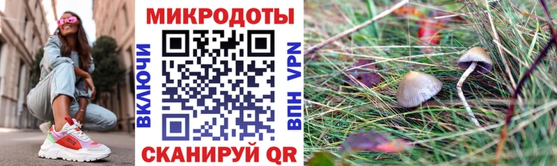Псилоцибиновые грибы Cubensis  Ульяновск 
